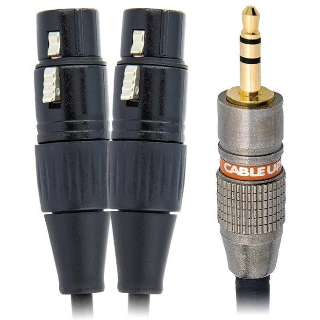 1/8in TRS Male to Dual XLR Female Y-Cable-The Tech Closet by DAVIS-The Tech Closet by DAVIS